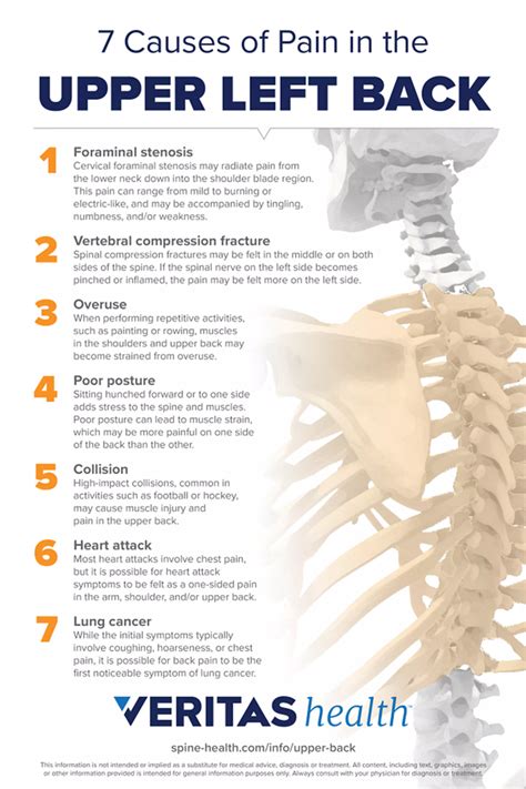 back and spine near freedom|Upper Back Pain Symptoms .